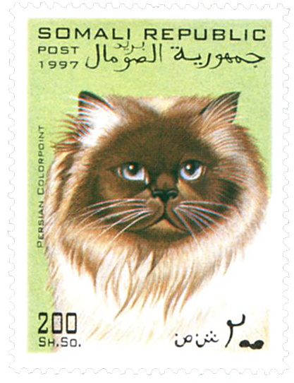 Chat-Somalie-1997
